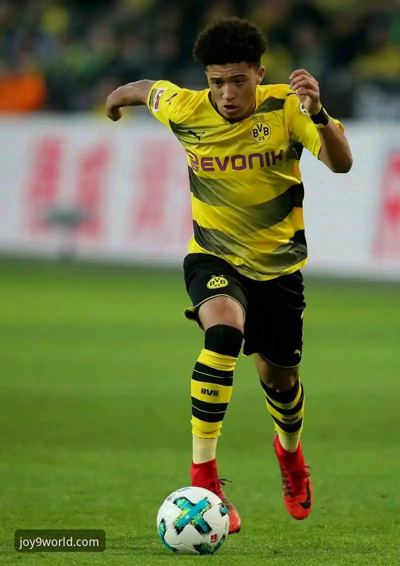 皇家盐湖城新星吸引多特蒙德关注：年轻边锋赫扎尔哈尼的崛起之路